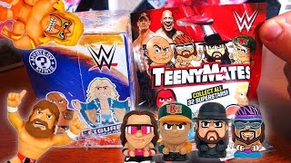 WWE Mystery Minis and Teenymates