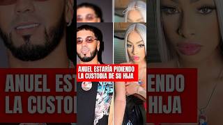 Anuel AA busca la custodia de su hija Catleya, que tuvo con Yailin, tras el arresto de Tekashi