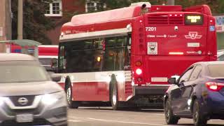 TTC New Flyer Xcelsior Hybrid XDE40 #7201 Training Bus