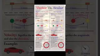 Vector &  Scalar #upsc  #ssc #india  #bpsc #trending  #shorts #rema