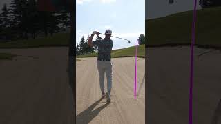 Golf Shot of The Year?