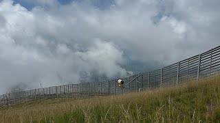 National Alpine Skiing Center in early autumn