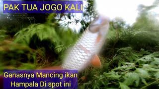 PAK TUA JOGO KALI MANCING IKAN HAMPALA BEGINI GANASNYA