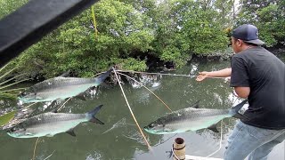 tangkap ikan : cari ikan dengan alat sederhana || cara orang indonesia cari ikan || orang desa