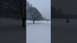 Walking under the snow