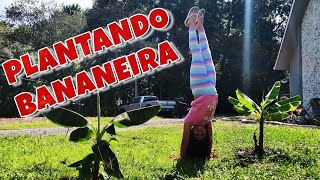 COMO PLANTAR BANANEIRA PASSO A PASSO 🤸‍♀️