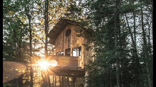 Staying in a Treehouse from a Childhood Dream