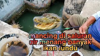 mancing di sungai kecil banyak ikan lundu nya