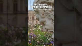 los jardines de versalles fueron olorosos pantanos #shorts #viajando x#history