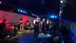 Shake Your Tail Feather - Wickham Festival 2015