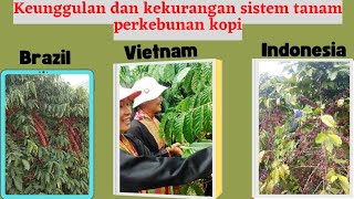 keunggulan dan kekurangan sistem perkebunan kopi Vietnam|| Indonesia|| Brazil.