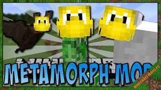 Metamorph Mod 1.12.2 - Minecraft Mods for PC