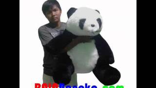 Boneka Panda Besar - Raja Boneka