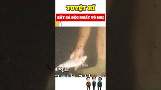 TUYỆT KĨ BẮT CÁ ĐỘC NHẤT VÔ NHỊ #trending #tintuc #animals #khampha #giaitri #funny #yeah #phimhay