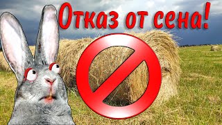 Полный отказ от сена!