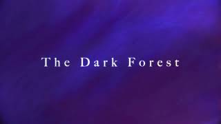 SKETCH 001 - The Dark Forest