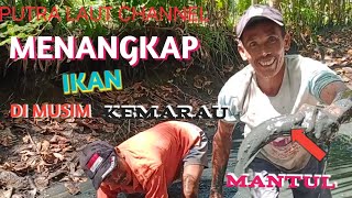 SAAT MUSIM KEMARAU KOLAM MENGERING TERNYATA MASIH ADA IKANNYA BANYAK