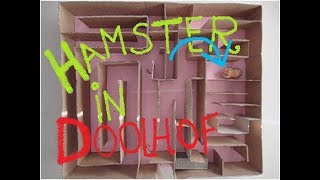 DOOLHOF voor Hamster!