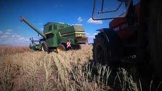 Żniwa 2016 | Rzepak | John Deere & Zetor | HD |