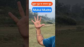 Yoga Mudra benefits/ Improves digestive function #abdomen #ytshorts #fitness #yoga