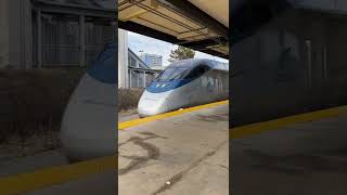 Amtrak Acela Express at New Carrollton