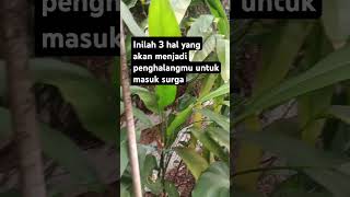 Jangan sampe ibadah kita sia sia #motivasi #kutipanislam #motivasihidup #kutipanislami #viralvideo