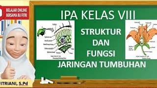 Struktur dan Fungsi Jaringan Tumbuhan