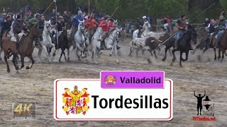 NI la 🌧️ LLUVIA ☔ FRENA los TOROS BRAVOS y CABALLOS EN EL CAMPO