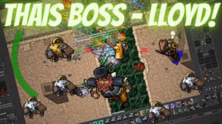 Tibia Thais Bosses - Lloyd (Guide/Poradnik)