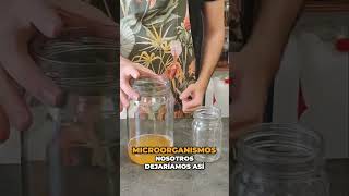 Cómo hacer vinagre casero de vino blanco con kombucha . Receta fácil