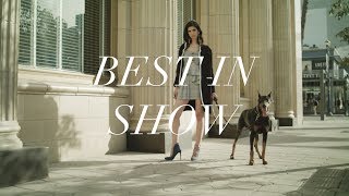 Best in Show | Shoedazzle Lookbook | January '18