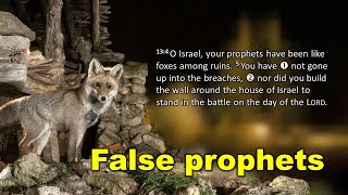 13 False prophets