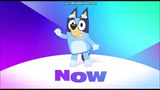 Disney Channel USA  - Now - Bluey