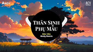 THÂN SINH PHỤ MẪU - Bảo Vân x Andy Remix (EDM) - Tóc Mẹ Bạc Màu Mây, Phủ Kín Đôi Vai Gầy