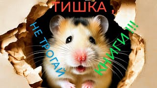 ХОМЯК ТИШКА ПРОГРЫЗ КНИГИ /The Hamster