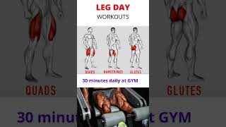 LEG DAY WORKOUT || Leg Exercise || #shorts