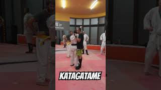 Katagatame em Pé no Karaté Jutsu: Domínio e Finalização Rápida #KaratéJutsu #Katagatame