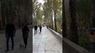 Autumn Iran: Walking tour #park باغ فاتح کرج