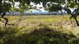 Hillcross Farm Parcel at Rennselearville State Forest on September 16, 2023