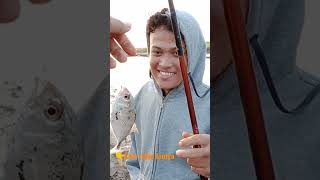 muara Pandansimo mancing seru #short