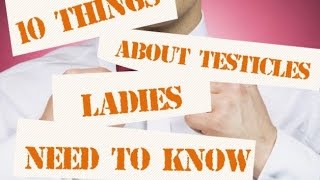 10 Things About Testicles Ladies Need To Know