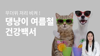 무더운 여름을 위한 강아지 고양이 여름철 케어법 !