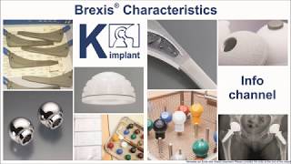 Brexis Hip Prosthesis Characteristics | K-implant Info Channel