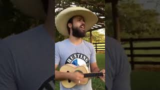 Sertanejo no cavaco