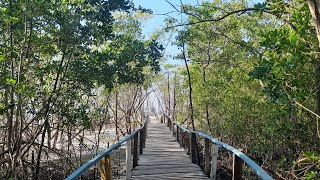 PRAIA DO LEMBE NO PARÁ