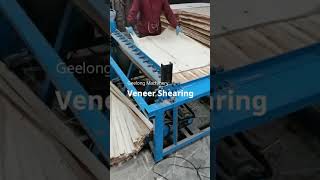 veneer clipper machine, veneer shearing machine