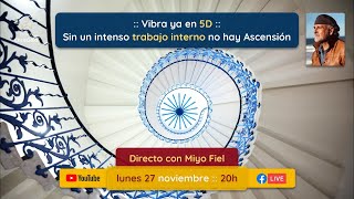 Vibra ya en 5D :: Sin un intenso trabajo interno no hay Ascensión