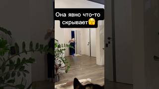 Кто же она на самом деле?🙄 #юмор#прикол#смех#смешноевидео#halloween#приколы