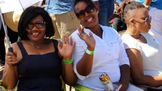 Cape Summer Picnic 2016   DJ Mizz Mix