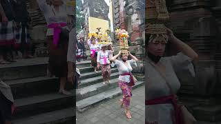 Pura Tirta Empul acara Odala #bali #tirtaempul #hindu #pura